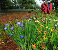 Iris Flowers And Sculpture